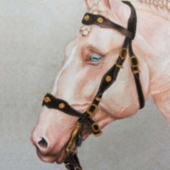 🐴 Host Pick🐴 Horse drawing Wall Art Poster Print A4 Signed by artist - Picture 3 of 4